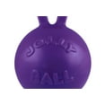 thumbnail image 6 of Jolly Pets Tug-n-Toss Dog Toy, 4", Multicolor, 6 of 7