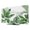 White, Green, Lime, variant on Tropical Plants TV Cover for 24 Inch Screen,Stretch Fabric Dustproof TV Display Protector,Green Summer Botanical Leaves Branches Elastic Slipcover Monitor Cover for Indoor Computer 20.9"x11.8"