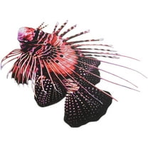 UNOMOR Fish Decoration Iron Fish Wall Decor Red Metal Home Decoration 1Pcs