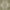 Green, variant on Jill Zarin Outdoor Collection Area Rug - Dubai (5' 3" x 8' Rectangle Beige/Brown)