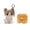 C, variant on Cat and Hat Plushie Set, Soft Kitty Stuffed Animal with Removable Zodiac Covers for Collectors and Personalized Gift, Fun Animal Doll 6.29-inch