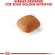 thumbnail image 2 of Royal Canin Golden Retriever Adult Dry Dog Food, 30 lb bag ShopWise Round, 2 of 4