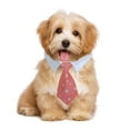 thumbnail image 5 of Corbata para mascotas, corbata para perros, collar a rayas, babero, bufanda, escote falso, toalla de agua, lazo, 5 of 7
