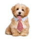thumbnail image 1 of RKSTN Dog Collar Cw11 Pet Tie Bowtie Dog Tie Stripe Collar Scarf Fake Collar Drool Towel Bow Pink, 1 of 3