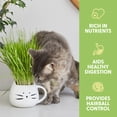 thumbnail image 4 of The Cat Ladies Organic Cat Grass Kit 1 Count, Indoor Cat Grass with Soil and Seeds for Easy Planting, 4 of 9