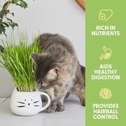 The Cat Ladies Organic Cat Grass Kit 1 Count, Indoor Cat Grass with Soil and Seeds for Easy Planting
