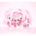 thumbnail image 4 of Spray fijador Physicians Formula Rosé All Stay Illuminating, 4 of 4