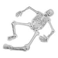 thumbnail image 3 of Shisuyan 1 Bag of Skeleton Handmade Science Kit Education Science Kit Human Skeleton Cognitive Material, 3 of 8