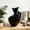 Black, variant on TTJ Small Vases for Centerpieces Bud Vases Modern Abstract Printed Vase Irregular Shaped Vase Textured Decorative Flower Vase for Home Office