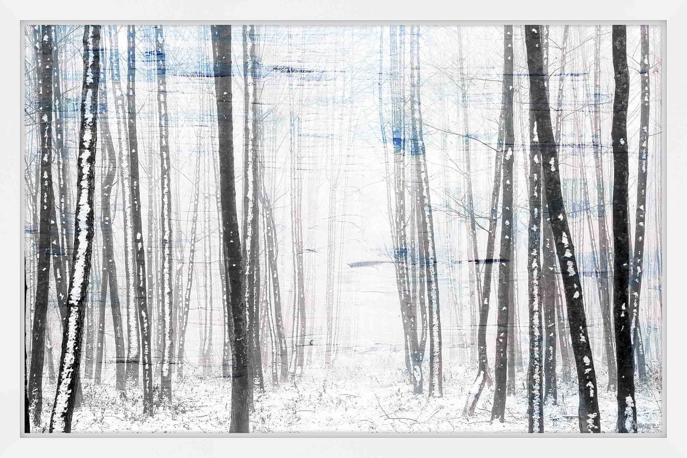 "Thin Trees" Framed Painting Print