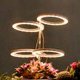 thumbnail image 3 of Lámpara colgante circular, diseño moderno, fácil instalación, 1 anillo, luz suave de alto brillo, eficiencia energética, amplia aplicación para decoración del hogar, altura ajustable, blanco cálido,, 3 of 6