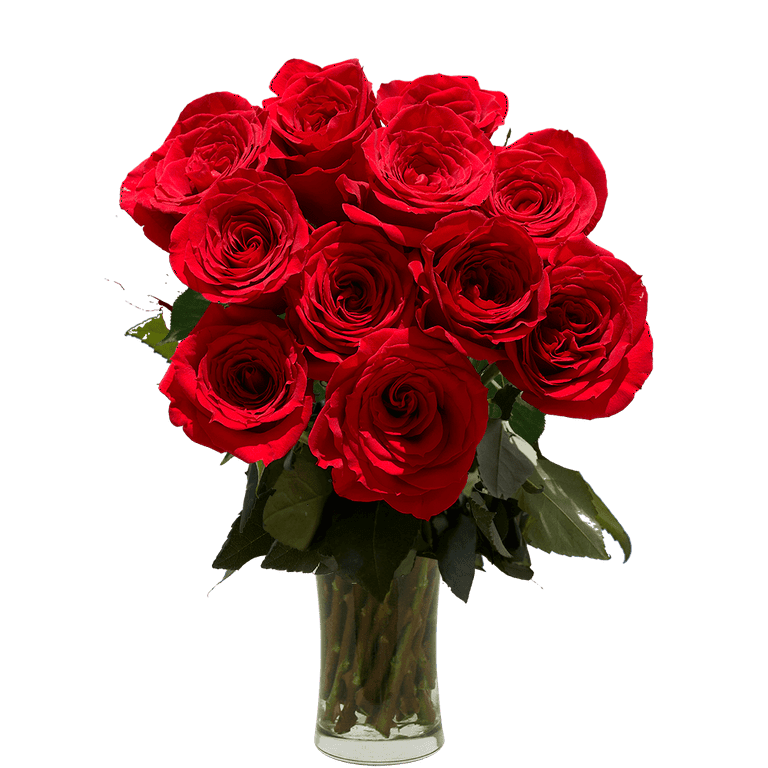 Red Roses Hand Bouquet - Ovenfresh