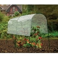thumbnail image 2 of Gardman Tomato Greenhouse, 2 of 2