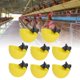 thumbnail image 5 of Bebedero de pollo Alimentador de agua de pollo de plástico de riego profesional de 8 piezas Tazón para beber de aves de corral portátil y liviano tazas de agua de pollo para ANGGREK  Otros, 5 of 8