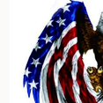 thumbnail image 2 of 3X Decal Sticker for Car Motorcycle Eagle with USA Flag, 2 of 5