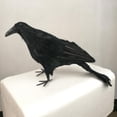 thumbnail image 4 of Cuervos pequeños con plumas negras para Halloween: decoración de cuervos y pájaros negros 33cm, 4 of 9