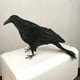 thumbnail image 4 of Cuervos pequeños con plumas negras para Halloween: decoración de cuervos y pájaros negros 33cm, 4 of 9