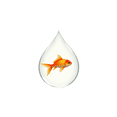 thumbnail image 3 of cartoon Goldfish Theme Stickers, Waterproof Goldfish Theme Sticker for Water Bottle Laptop Phone Cases Planner Skateboard Luggage Helmet Party Favor Decor, Ideal for Adults Teens Teacher Rewards, 3 of 9