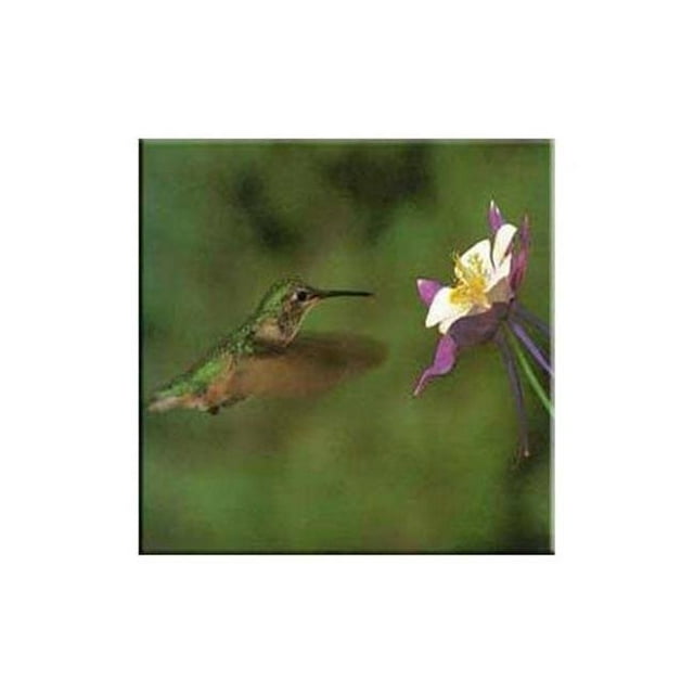 McGowan TT99826 Tuftop Colibri et Colombine Trivet