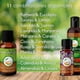 thumbnail image 3 of Aceite Para Masaje Vida Scents Romero y Eucalipto (125 ML) 2 piezas Vida Scents aceite_Romero_y_Eucalipto_125ml, 3 of 3