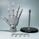 thumbnail image 4 of Flexible Moveable Mannequin Hand Artist Jointed Articulated Mannequin Hand Model for Sketching Drawing Desk Decoratio, 4 of 5