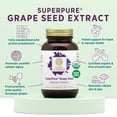 thumbnail image 3 of Suplemento PURE SYNERGY SuperPure de extracto de semilla de uva 60 cápsulas, 3 of 6