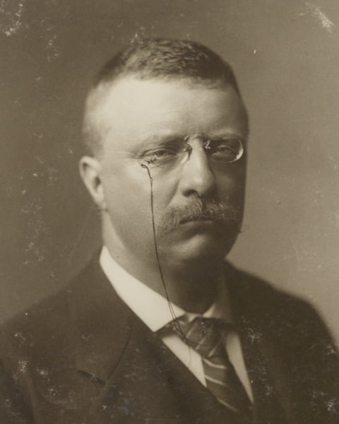 Print: Theodore Roosevelt, No. 3 - Walmart.com