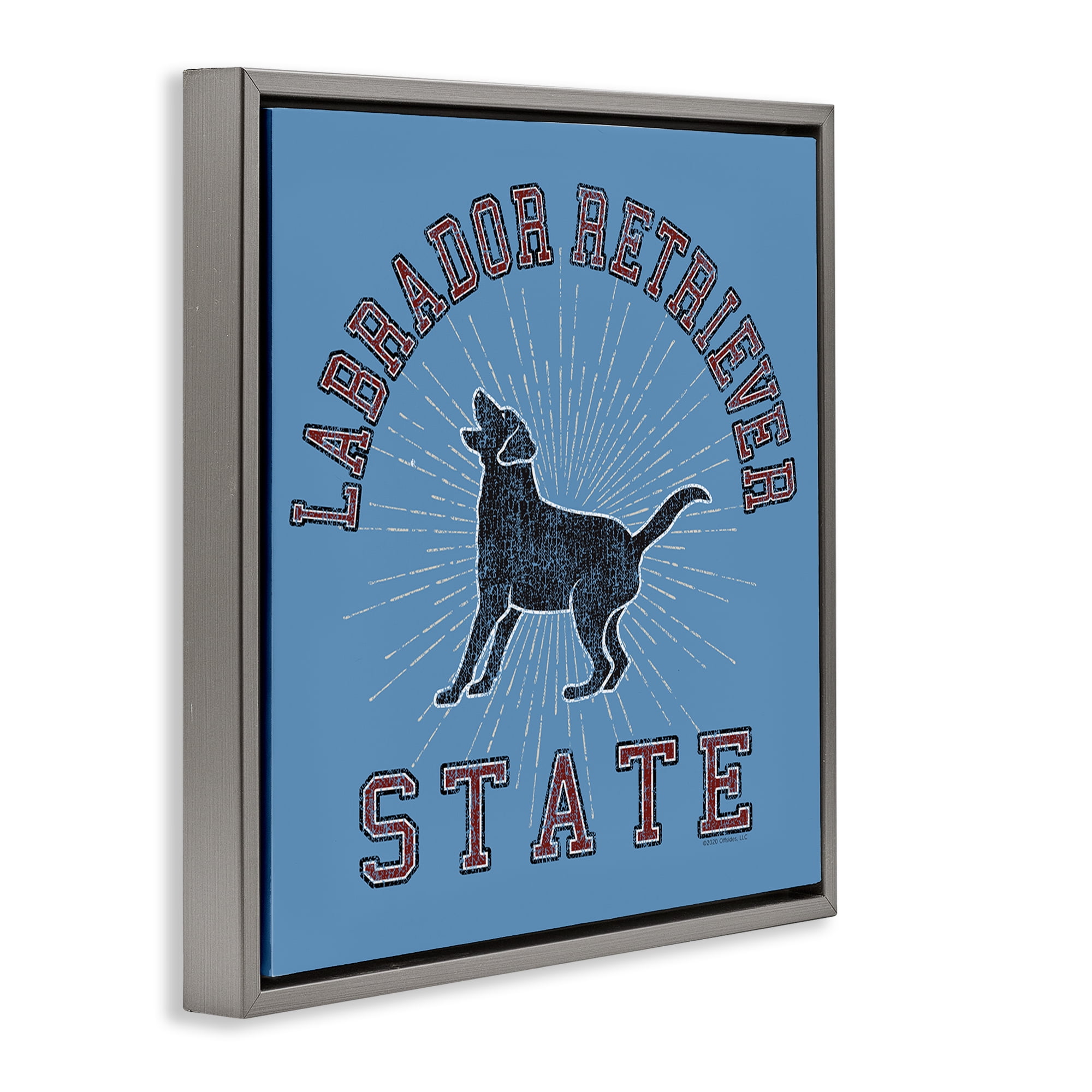 Stupell Industries Varsity Labrador State Novelty & Humor Painting Gray Floater Framed Canvas Art Print Wall Art, 18 x 18