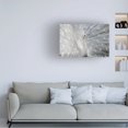 thumbnail image 2 of Victoria Ivanova 'As White As Snow' Canvas Art, 2 of 4