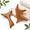 Natural Wood-moderate size, variant on Wooden Gua Sha Tool Set For Face & Targeted Body Mass-trigger Point Multi-angle Manual Acutools With Gift-ready Box Self-care Rel