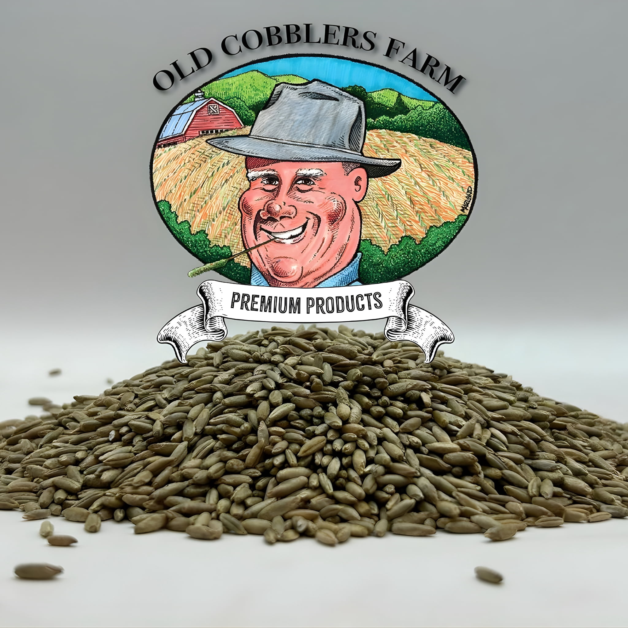 Old Cobblers Farm™ Wicked Tuff Turf Winter Rye Grass Seed Grass, 10lbs