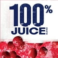thumbnail image 6 of Ocean Spray® 100% Juice Cranberry Juice Blend, 101.4 fl oz Bottle, 6 of 15