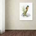 thumbnail image 3 of The Macneil Studio 'Kingfisher' Canvas Art, 3 of 3
