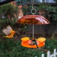 thumbnail image 6 of Kingsyard Oriole Bird Feeder for Outside With Big Dome Orange Fruit, Jelly, Mealworm,Nectar, 6 of 7