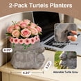 thumbnail image 3 of The Growing Ground 2 Pack Turtle Planter with Drainage Hole, Indoor Outdoor Cute Decorative Plant Pots, Desk, Garden, Gift for Plant Lovers, Pink, 3 of 10