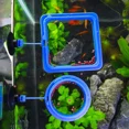 thumbnail image 5 of 5Pcs Circle Fish Feeding Ring, Floating Food Feeder with Suction Cup, Aquarium Fish Tank Fish Food Feeder - for Guppy, Betta, Goldfish ect, 5 of 8