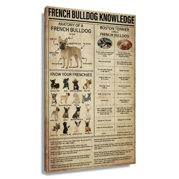 French Bulldog Dog Wall Art Knowledge Poster Decorative Pictures For Bathroom Painting Wall Art For Living Room Unframed 20x30 in