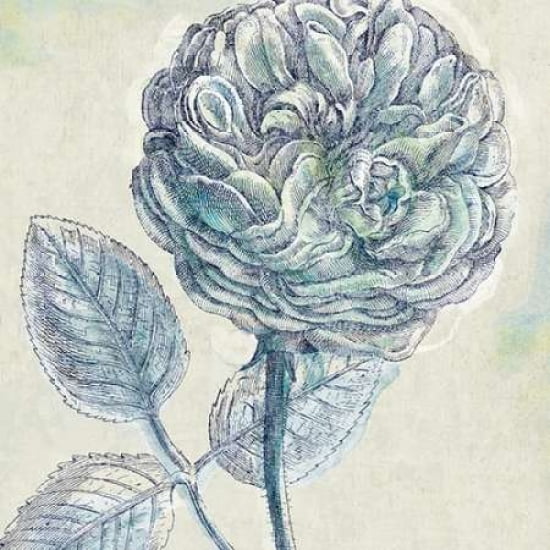 Belle Fleur III Poster Print by Sue Schlabach (12 x 12)