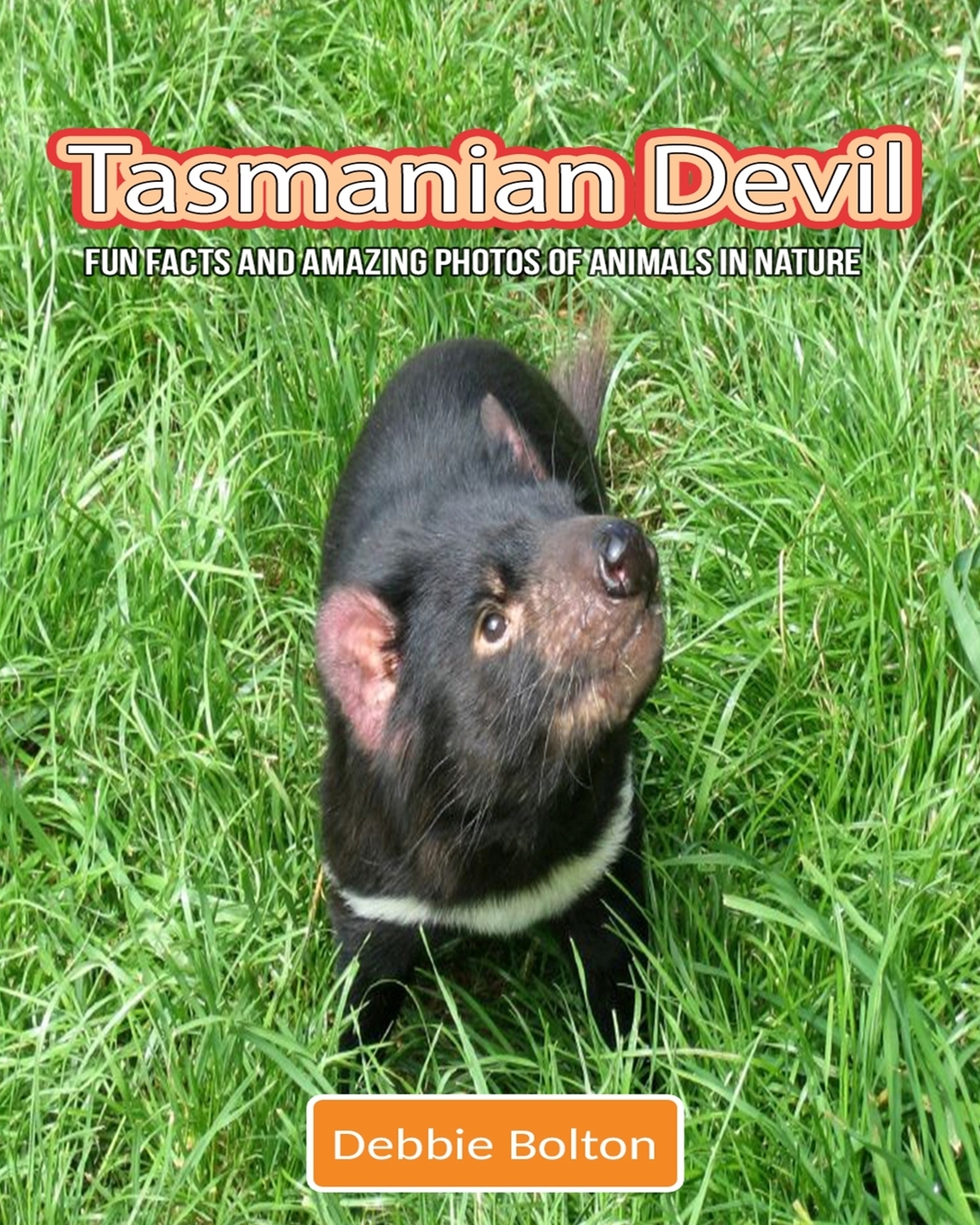 Tasmanian Devil : Fun Facts and Amazing Photos of Animals in Nature
