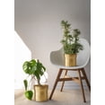 thumbnail image 4 of Hammered Aluminum Planter, Large, Pack 1, 4 of 7