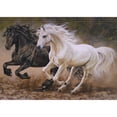 thumbnail image 1 of Taladro Pintura (DE6084) DIY 5D Mosaico Caballo Animal Completo Ronda Rhinestone Kit (FH234) 20X30cm Hugtrwg Para estrenar, 1 of 1