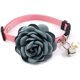 thumbnail image 1 of Flower Cat Dog Collar- Stylish Bow Tie Collar, Dog Necklace with Bell for Small and Medium Pets, Cat Costume for Party W, 1 of 5