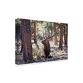 thumbnail image 2 of Trademark Fine Art Animals Canvas Art ' Elk Study I ' by David Drost, 2 of 4