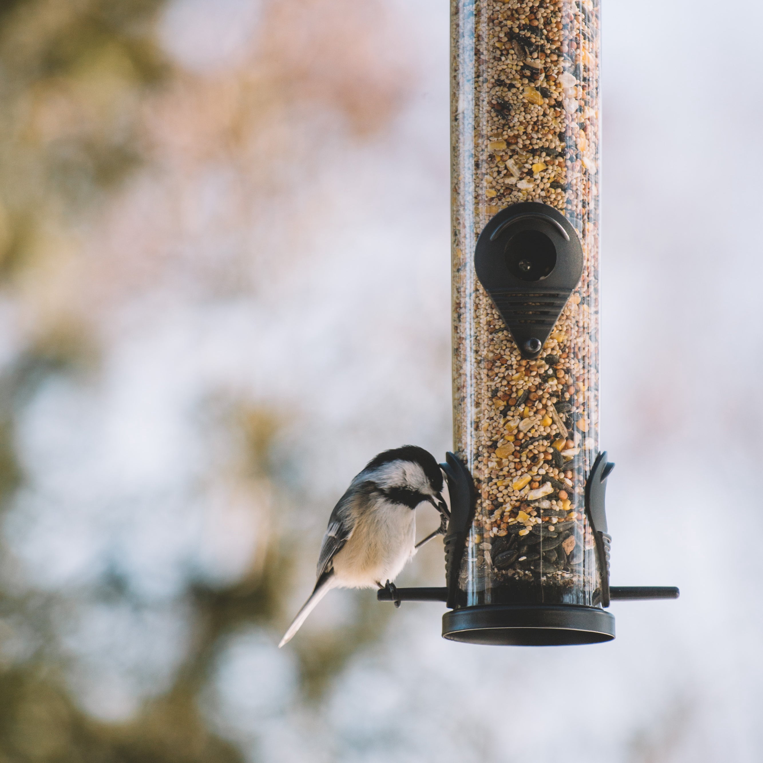 Backyard Expressions Tall Tube Bird Feeder - Durable Hanging Wild Bird Feeder for Wild Birds - 23" Tall, 6-Port Design