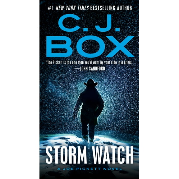 Pre-Owned Storm Watch (Mass Market Paperback) 0593331338 9780593331330