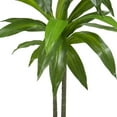 thumbnail image 3 of Nearly Natural Green 48" Dracaena with Basket Artificial Plant (Real Touch), Green, 3 of 4