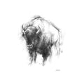 thumbnail image 2 of Harper, Ethan 19x24 Black Ornate Wood Framed with Double Matting Museum Art Print Titled - Western Animal Sketch I, 2 of 4