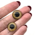 thumbnail image 5 of Light Brown Tropical Owl Bird Glass Eyes, 5 of 9