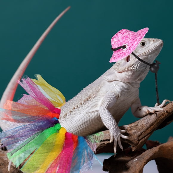 Minkissy Bearded Dragon Clothing in Round Shape for Chameleon Geckos 28.00X8.00X0.50cm