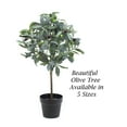 thumbnail image 3 of The Mod Greenhouse Artificial Green Olive Tree in a Black Matte Planter Pot 36, 3 of 5